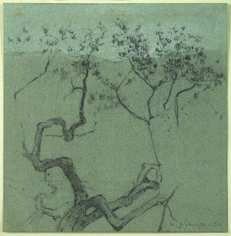1911 - Albero